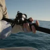 Accurate Conventional>Ascender Star Drag Reels