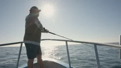 Accurate Conventional>Ascender Star Drag Reels