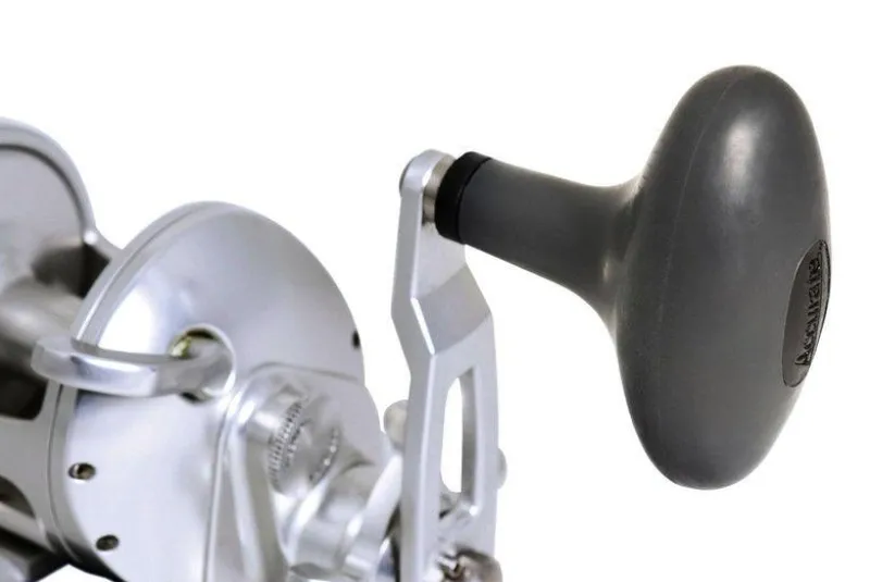 Accurate Conventional>Tern 2 Star Drag Reels