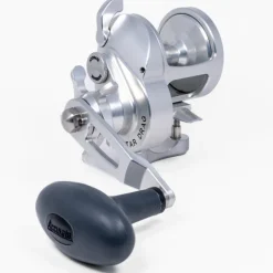 Accurate Conventional>Tern 2 Star Drag Reels