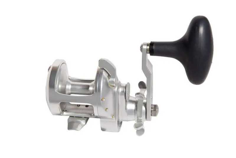 Accurate Conventional>Tern 2 Star Drag Reels