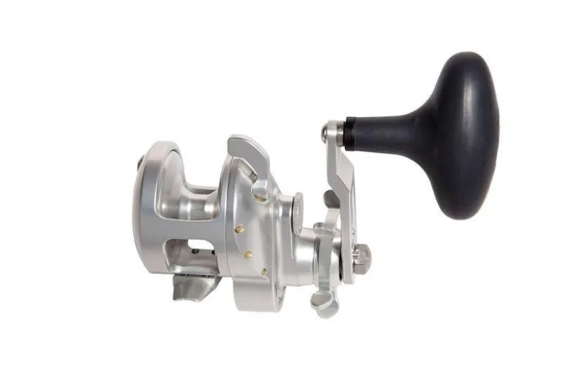 Accurate Conventional>Tern 2 Star Drag Reels