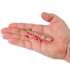Berkley Soft Baits>Gulp! Saltwater Turbo Shrimp