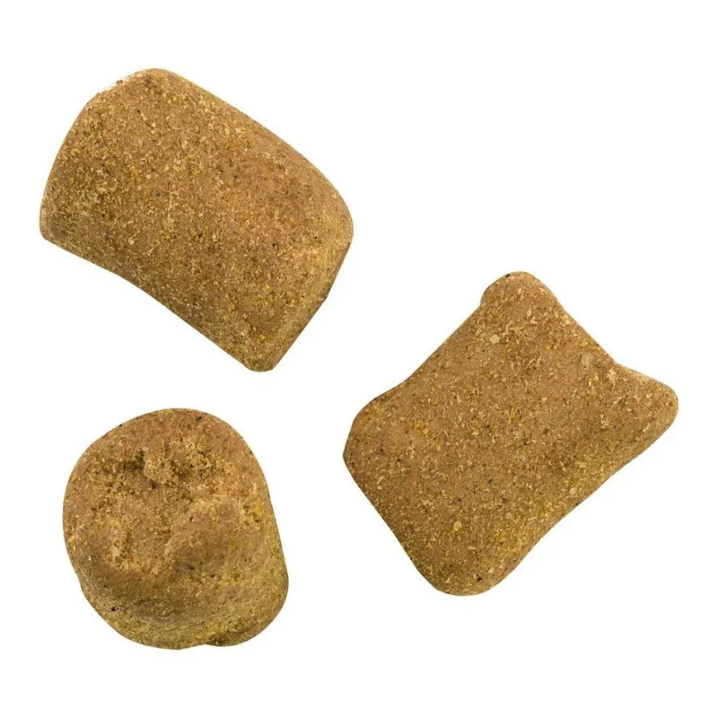 Berkley Soft Baits>PowerBait Catfish Bait Chunks