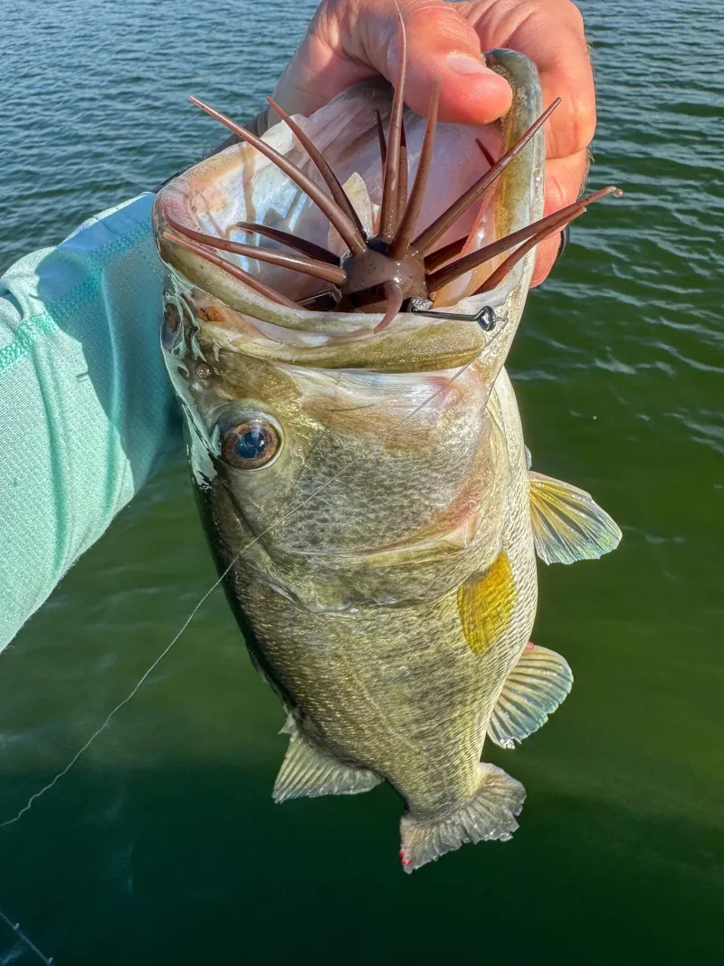 Core Tackle Soft Baits|Hooks>Dice Rig Hooks