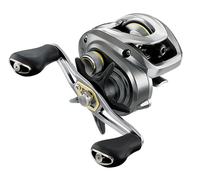 Daiwa Baitcasting>2025 Aird 80 Baitcasting Reels