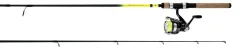 Daiwa Combos|Spinning>2025 D-Shock II FW Spinning Combos