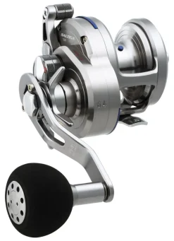 Daiwa Conventional>Saltiga Star Drag Reels
