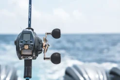 Daiwa Electric>2024 Seaborg 300J-DH Electric Reel