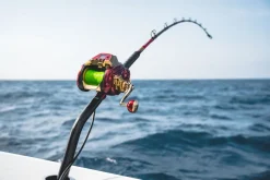 Daiwa Electric>2024 Seaborg 1800M-RJ Electric Reel