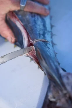 Dexter Russell Knives & Scissors|Tools>Dexter Dextreme 7" Dual Edge Flexible Fillet Knife with Sheath