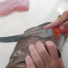 Dexter Russell Knives & Scissors|Tools>Dexter Dextreme 8" Single Edge Max Flex Fillet Knife with Sheath