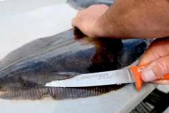 Dexter Russell Knives & Scissors|Tools>Dexter Dextreme 8