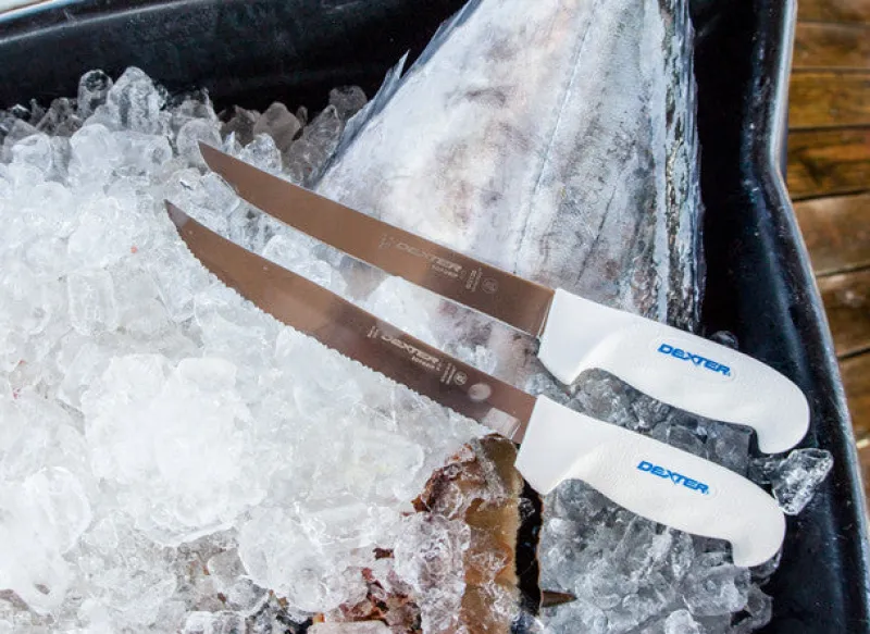 Dexter Russell Knives & Scissors|Tools>Dexter 8" Wide Fillet With Edge Guards