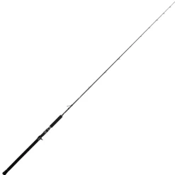 Jigging World Casting>Black Widow 2.0 Casting Rods
