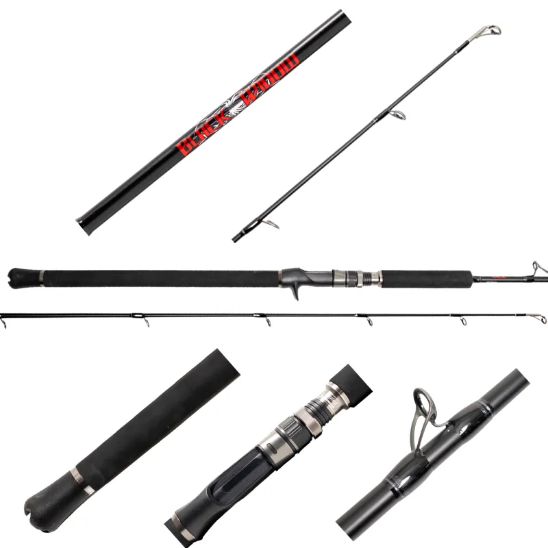 Jigging World Casting>Black Widow 2.0 Casting Rods