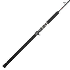 Jigging World Casting>Black Widow 2.0 Casting Rods