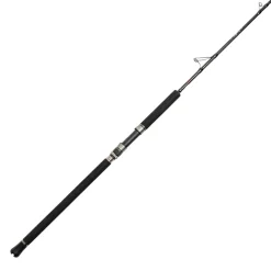 Jigging World Casting>Black Widow 2.0 Casting Rods
