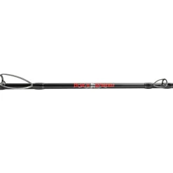 Jigging World Casting>Black Widow 2.0 Casting Rods
