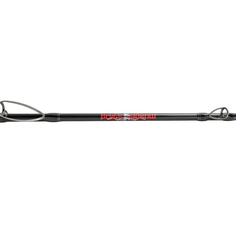 Jigging World Casting>Black Widow 2.0 Casting Rods