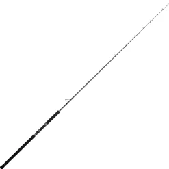 Jigging World Casting>Black Widow 2.0 Casting Rods