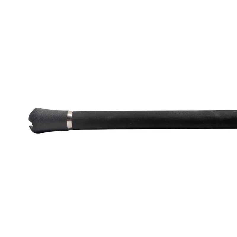 Jigging World Casting>Black Widow 2.0 Long Fall Casting Rods