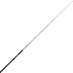 Jigging World Casting>Black Widow 2.0 Long Fall Casting Rods