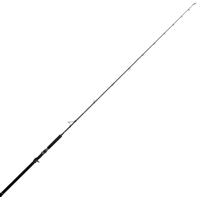 Jigging World Casting>Black Widow 2.0 Long Fall Casting Rods