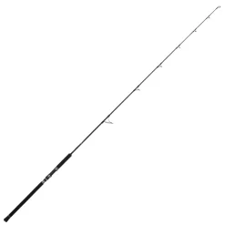 Jigging World Casting>Black Widow 2.0 Popping Spinning Rods