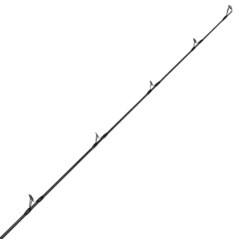 Jigging World Casting>Black Widow 2.0 Popping Spinning Rods