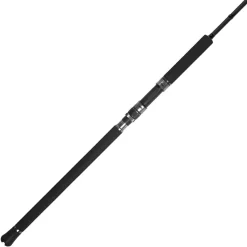 Jigging World Casting>Black Widow 2.0 Popping Spinning Rods