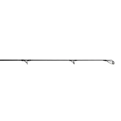 Jigging World Casting>Black Widow 2.0 Shore Spinning Rods