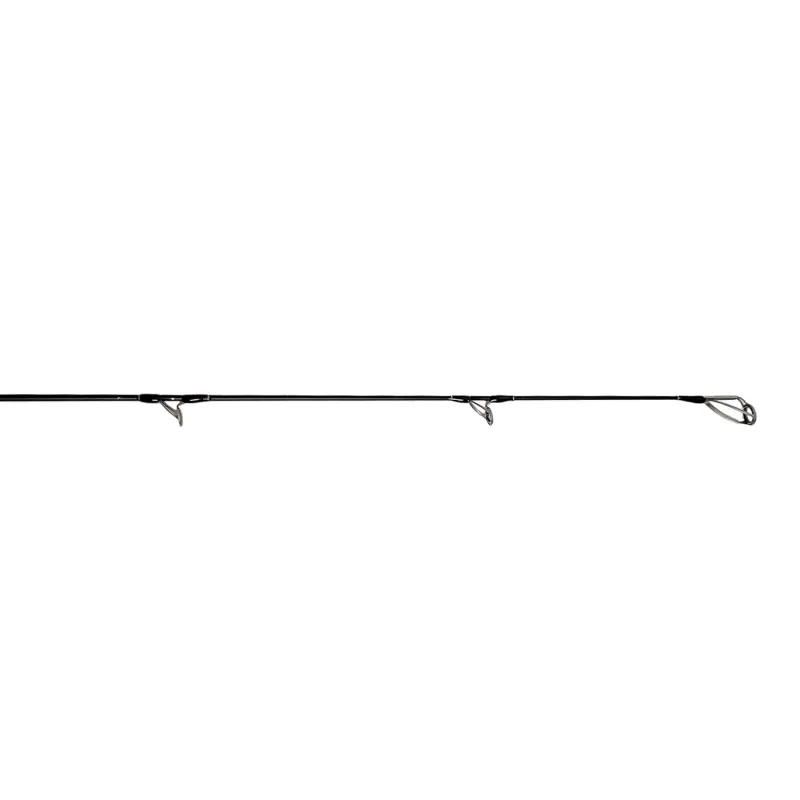 Jigging World Casting>Black Widow 2.0 Shore Spinning Rods