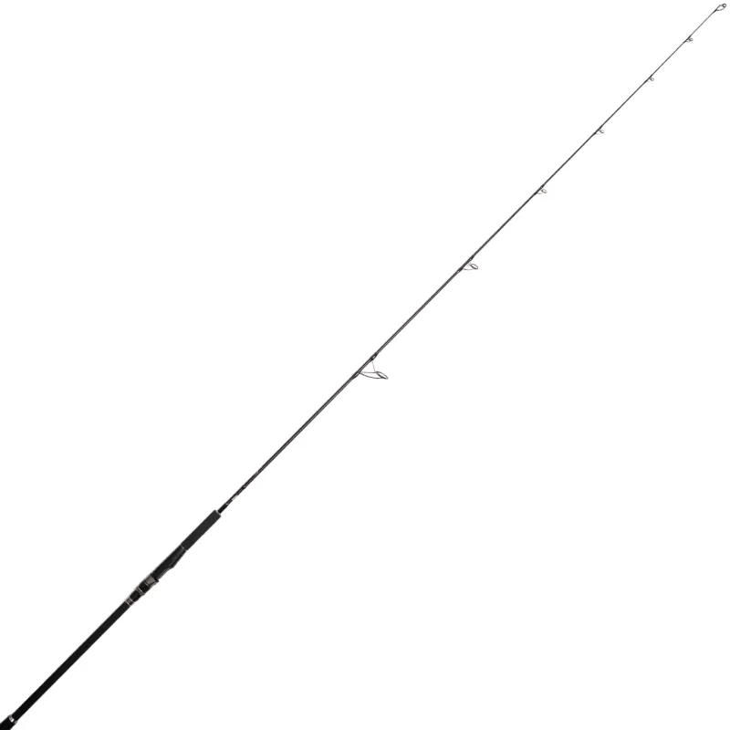 Jigging World Casting>Black Widow 2.0 Shore Spinning Rods