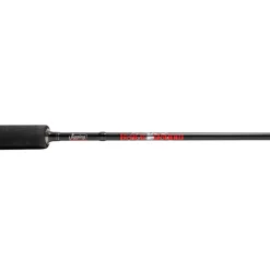 Jigging World Casting>Black Widow 2.0 Spinning Rods