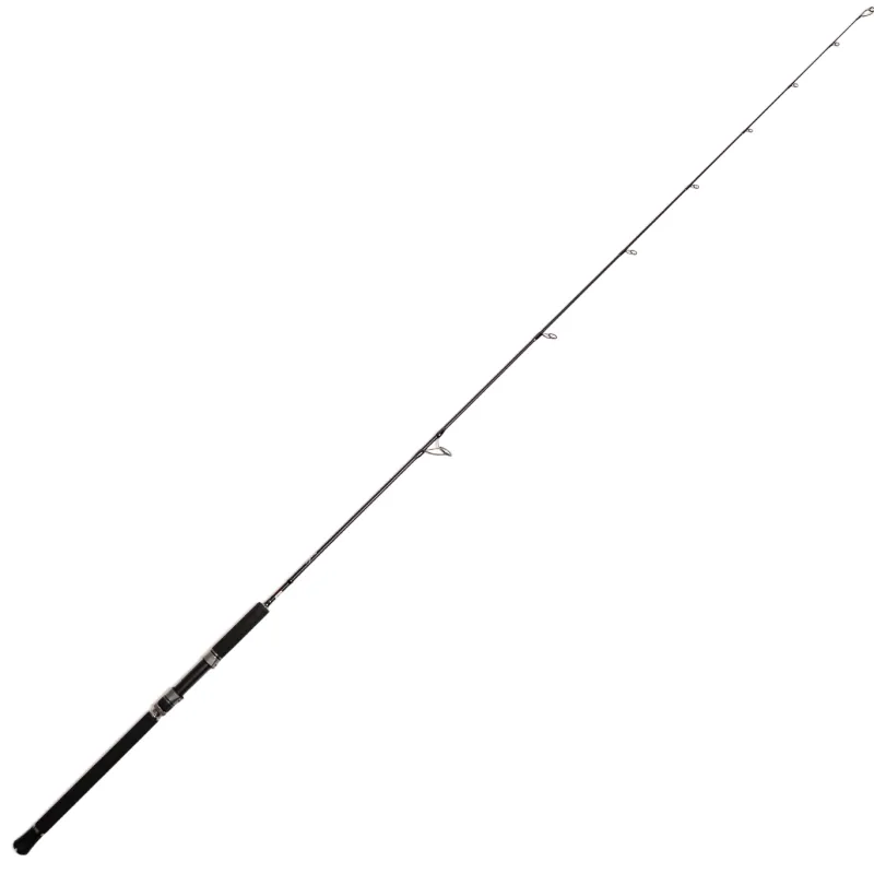 Jigging World Casting>Black Widow 2.0 Spinning Rods