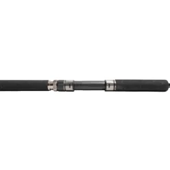 Jigging World Casting>Black Widow 2.0 Spinning Rods