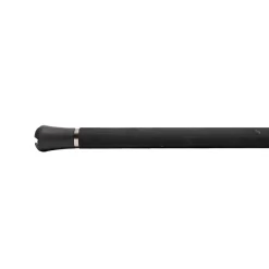 Jigging World Casting>Black Widow 2.0 Spinning Rods