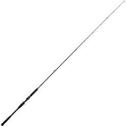 Jigging World Casting>Equinox Casting Rods
