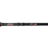 Jigging World Casting>FNS Spinning Rods