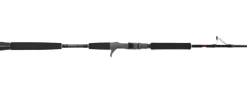 Jigging World Casting>Ghost Hunter Advantage Casting Rods (Buy 1 Get 1) *Final Sale*