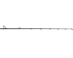 Jigging World Trolling|Casting>Raptor Casting Rods
