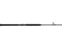 Jigging World Trolling|Casting>Raptor Casting Rods