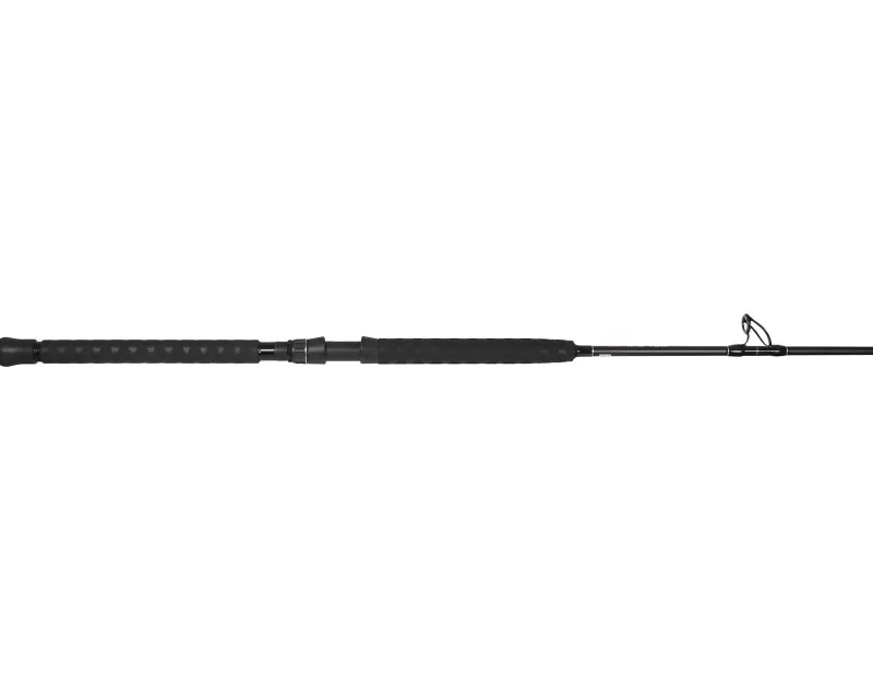 Jigging World Trolling|Casting>Raptor Casting Rods