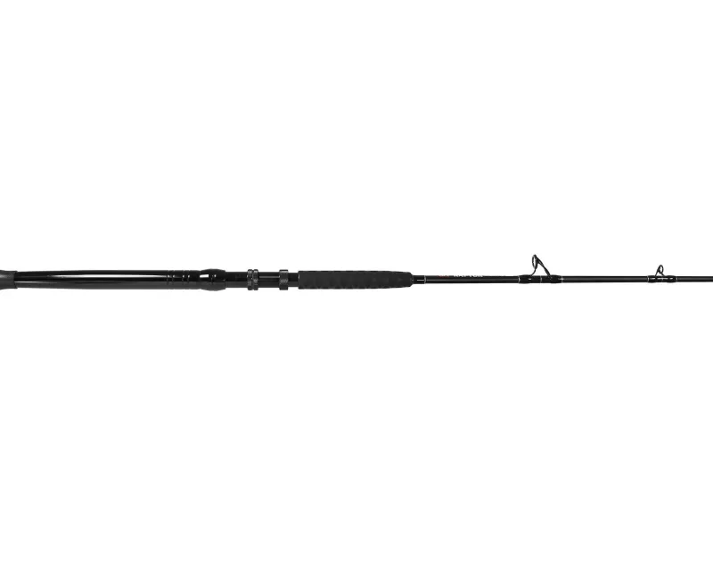 Jigging World Trolling|Casting>Raptor Casting Rods