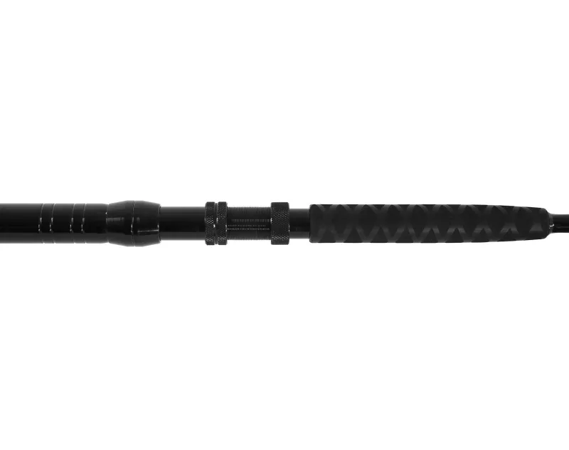 Jigging World Trolling|Casting>Raptor Casting Rods