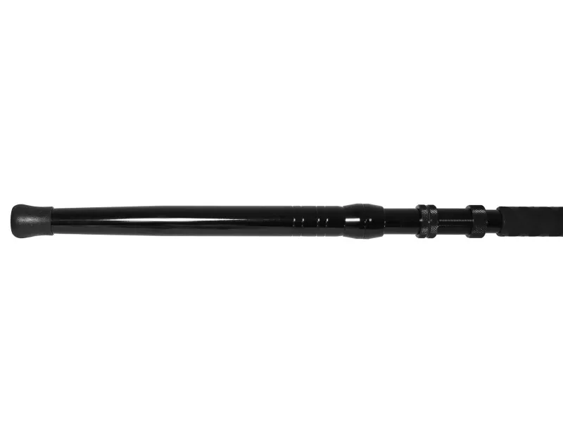 Jigging World Trolling|Casting>Raptor Casting Rods