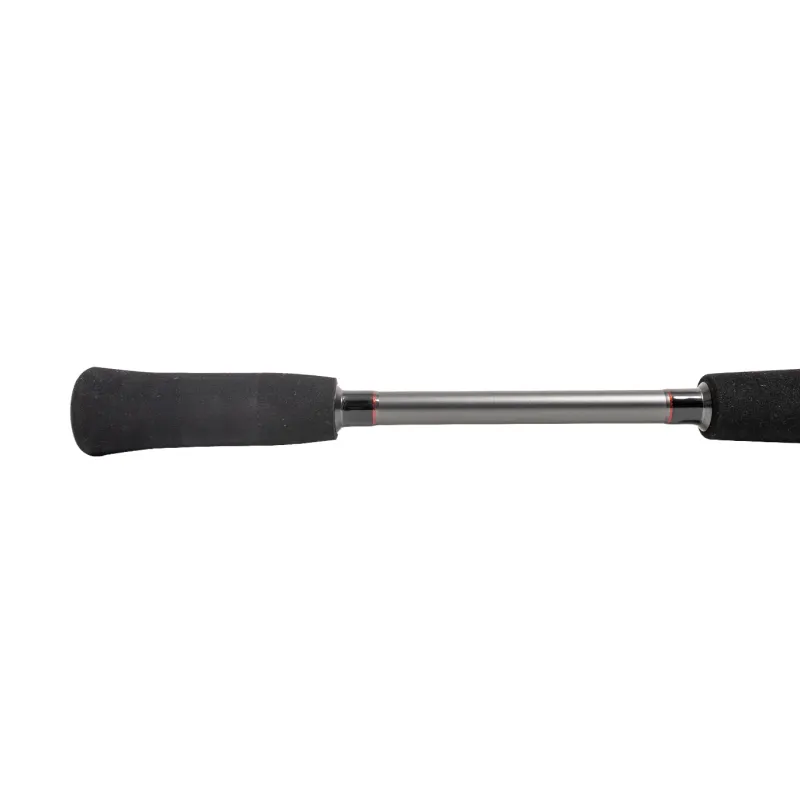 Jigging World Casting>Raze Casting Rods