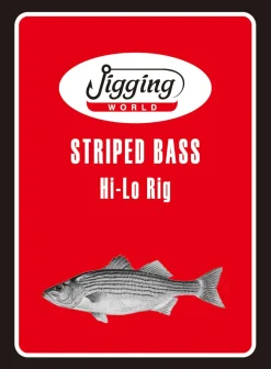 Jigging World Rigs>Striped Bass Rigs