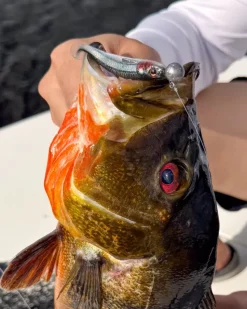 Major Craft Jigs>Stabi Shads